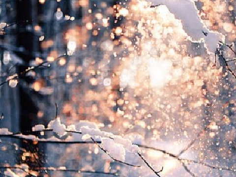    ❅