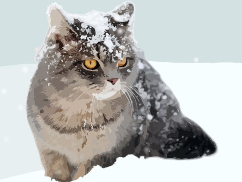 Snowy Cat blockshade 
