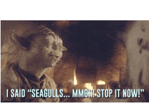 Seagulls (Stop It Now), A Bad Lip Reading