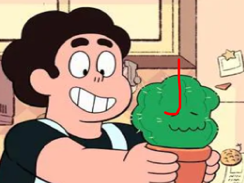 basically prickly pair