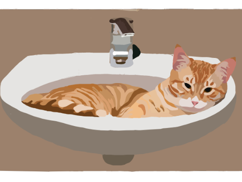 Sink Cat || Blockshade ||