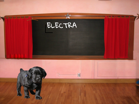 Electra!!!!!!!!!!!!!!!!!!!!!!!!!!