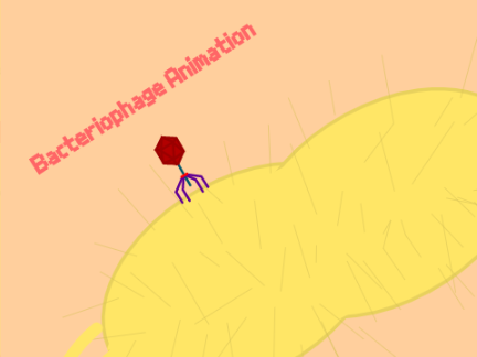 Bacteriophage Animation
