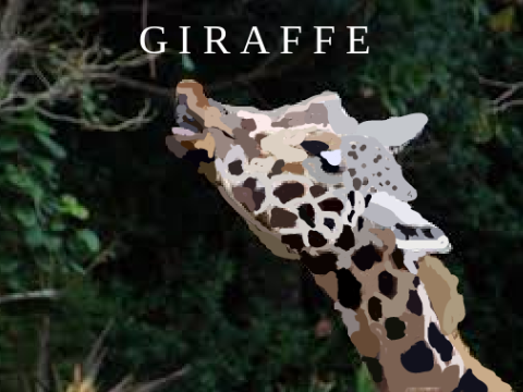 Giraffe Blockshade drawing