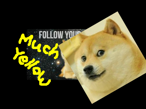 Doge
