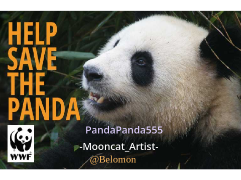 Save The panda’s sign inn if you want to help The panda’s.... Plz RIMIX RIMIX RIMIX remix remix