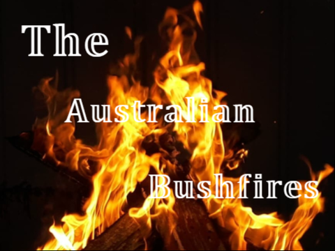 The Australian Bushfires