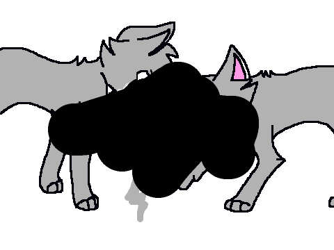 -Curiosity Animation-