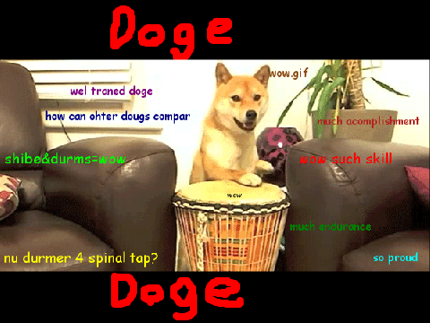 Doge