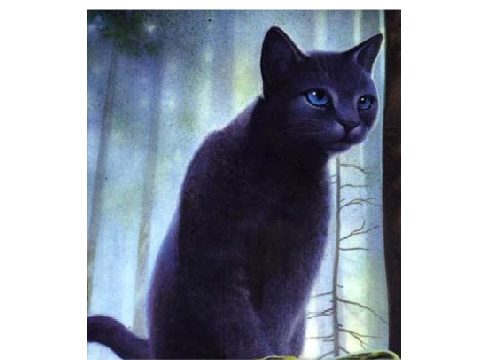 Bluestar Blockshade (Warrior cats)