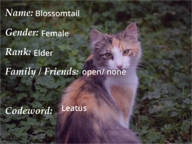 =UakariClan= (INFO PAGE) Blossomtail
