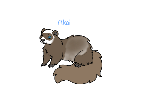 My First Project On Scratch!