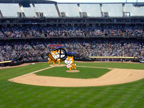 Baseball remix