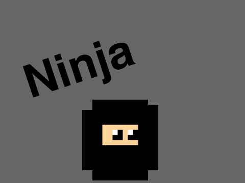 Ninja