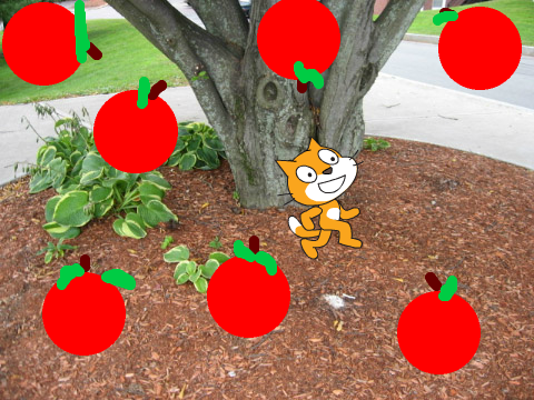 cat apple spin