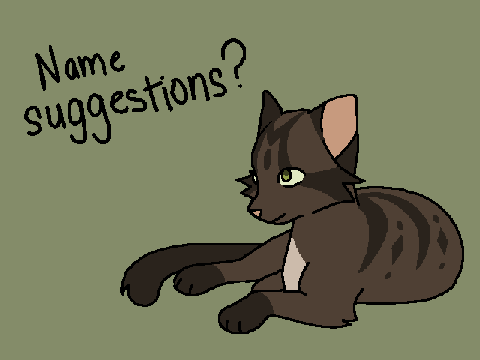 Help me name this cat