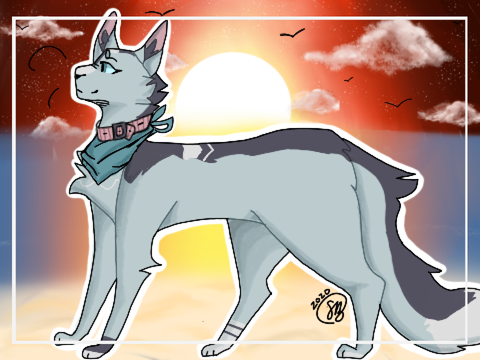  Different Dog || DTAE 