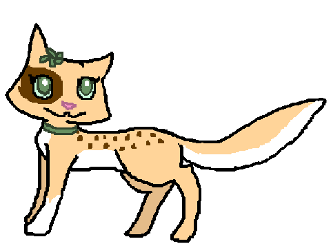 Meet Fawn.