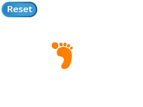 Carbon Footprint