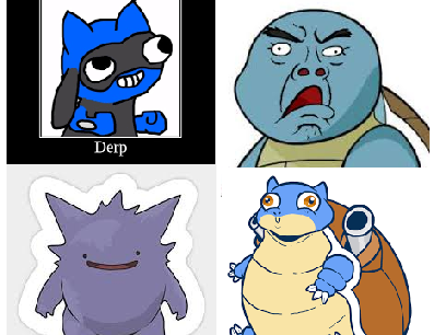 pokeman derp