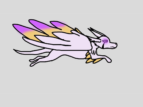 Angie run cycle test