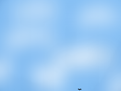 Starling flight ~ simulation