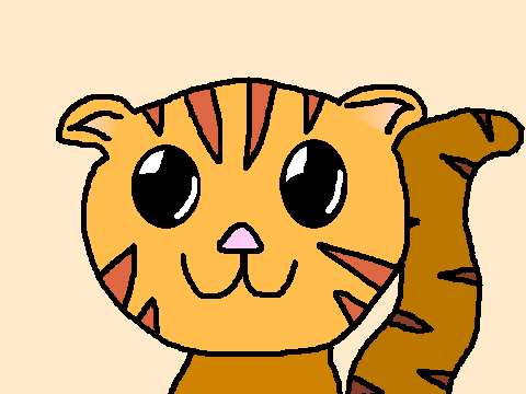 Cute Cat