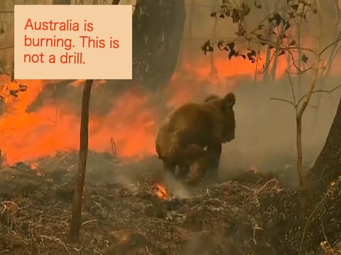 Australian Bushfire relief