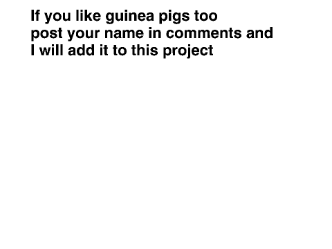 In memory of my Guinea pigs
