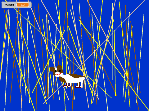Guinea pig quiz