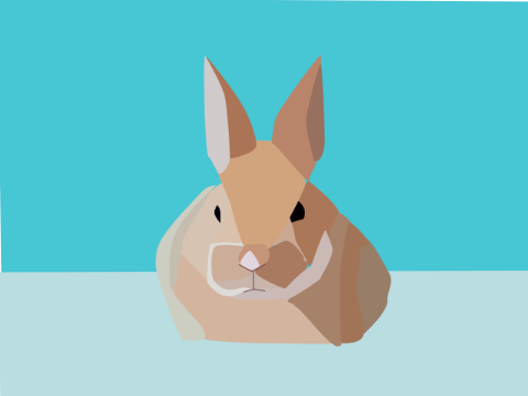 bunny blockshade