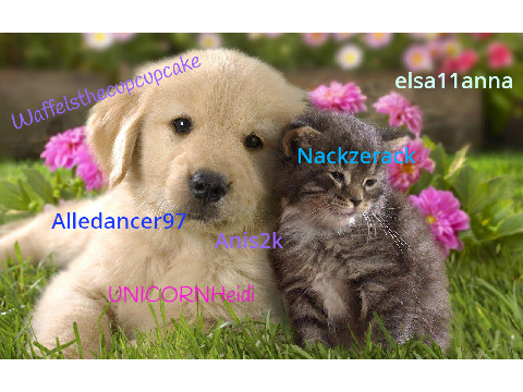 Sign To Help Stop Animal Abuse remix remix remix remix remix