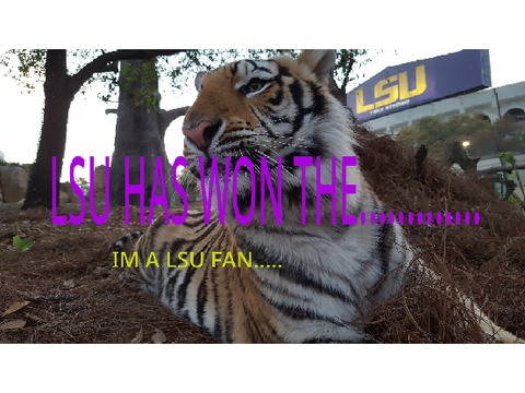 LSU!!!