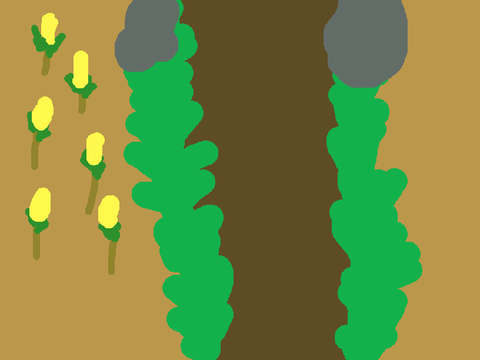 Countryside