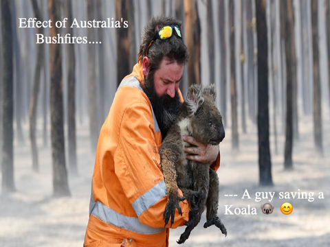 Effect of Australia’s bushfires...2020