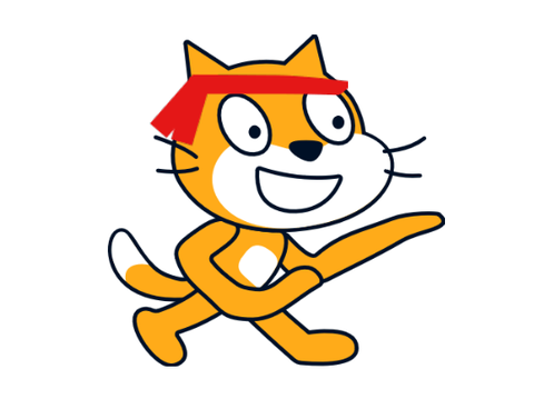 Ninja Cat