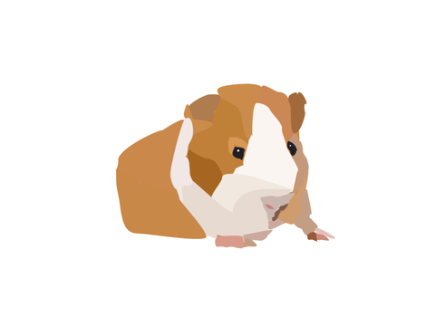 Guinea Pig block shade