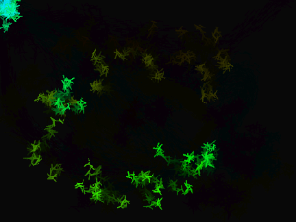 Rainbow Shards Mouse Trails