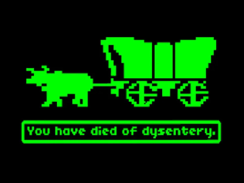 You have died of dysentery.