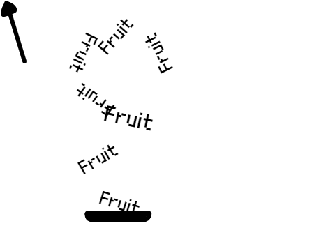 Fruit