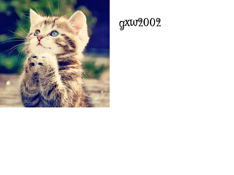 IF YOU LOVE GABCAT SIGN YOUR NAME