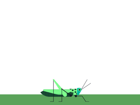 Grasshopper {Beta} fixed