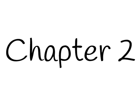 The Hidden Thief- Chapter 2
