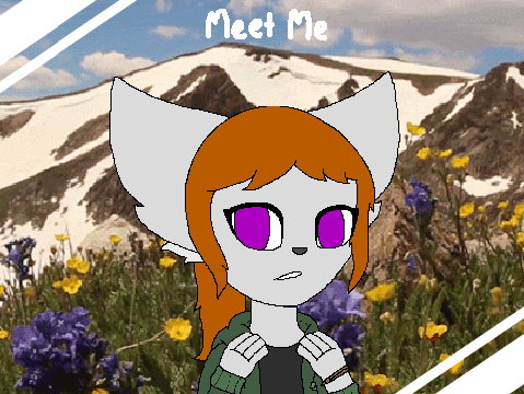 Meet Me [] MEME