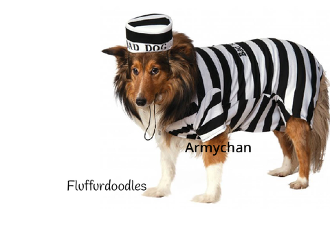 Sign plz these poor dogs are being caged :(