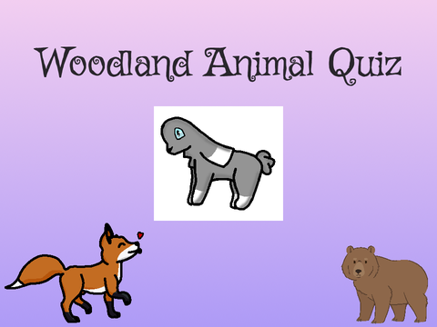 Woodland Animal Quiz