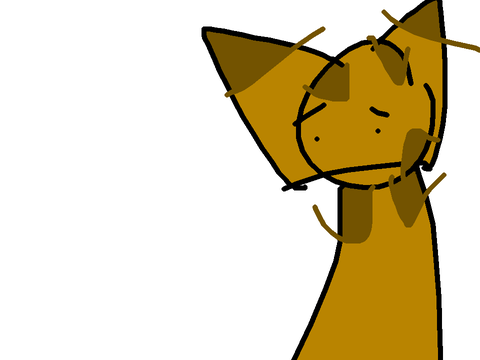 Small vent.