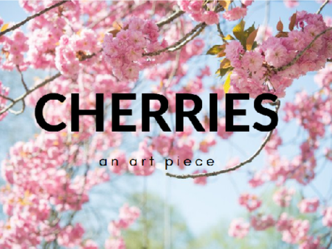 ✧ Cherries ✧
