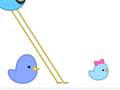 mr birdthday