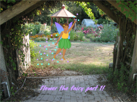 flower the fairy